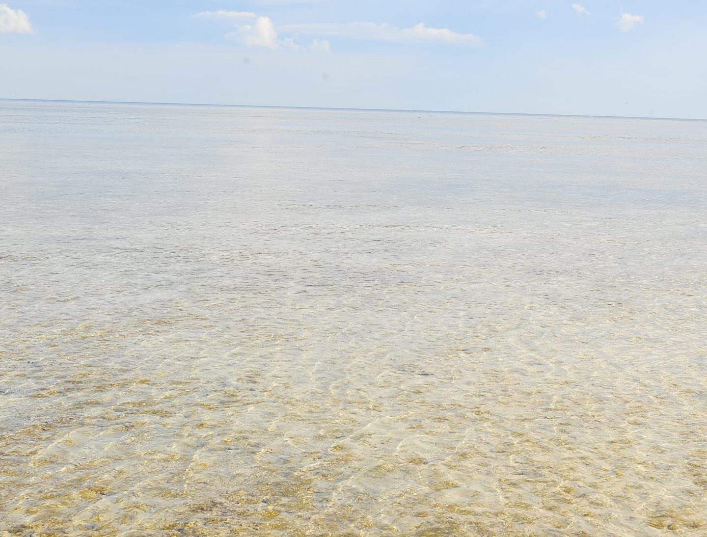 みんなで海へ行こう